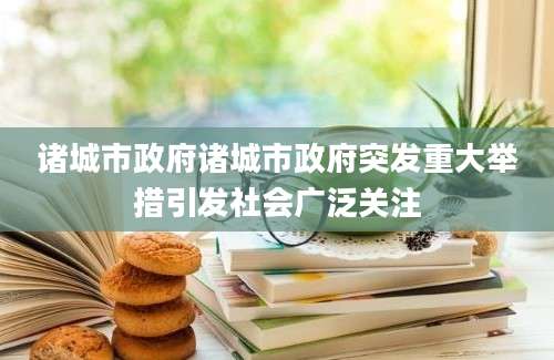 诸城市政府诸城市政府突发重大举措引发社会广泛关注