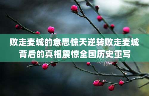 败走麦城的意思惊天逆转败走麦城背后的真相震惊全国历史重写