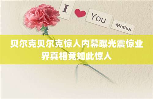 贝尔克贝尔克惊人内幕曝光震惊业界真相竟如此惊人