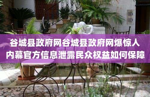 谷城县政府网谷城县政府网爆惊人内幕官方信息泄露民众权益如何保障