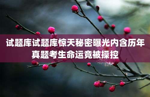 试题库试题库惊天秘密曝光内含历年真题考生命运竟被操控