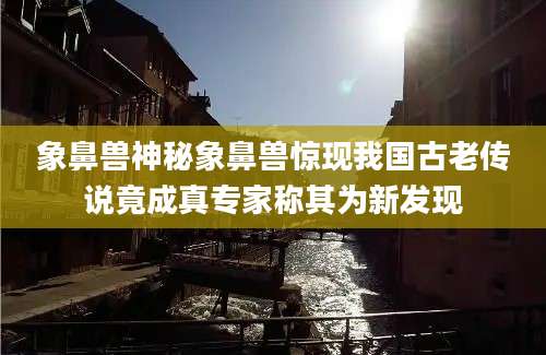 象鼻兽神秘象鼻兽惊现我国古老传说竟成真专家称其为新发现