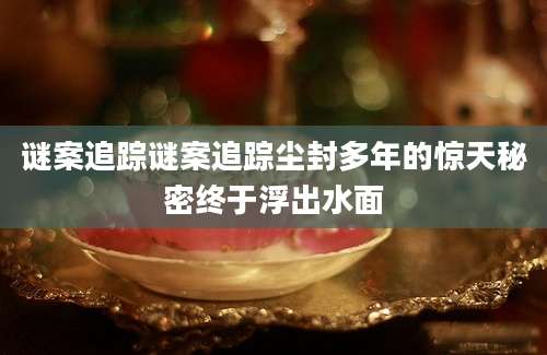 谜案追踪谜案追踪尘封多年的惊天秘密终于浮出水面