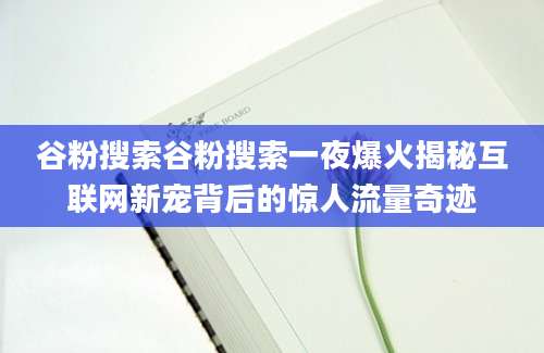 谷粉搜索谷粉搜索一夜爆火揭秘互联网新宠背后的惊人流量奇迹