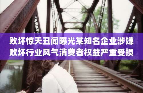 败坏惊天丑闻曝光某知名企业涉嫌败坏行业风气消费者权益严重受损