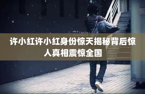 许小红许小红身份惊天揭秘背后惊人真相震惊全国