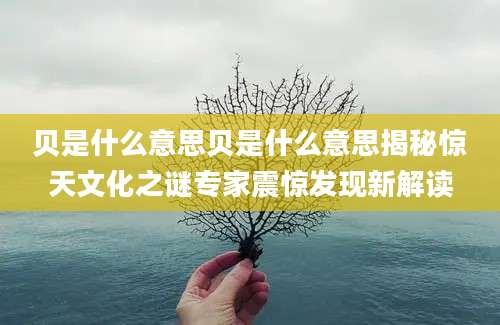 贝是什么意思贝是什么意思揭秘惊天文化之谜专家震惊发现新解读