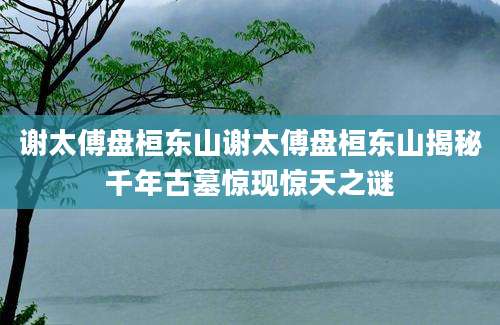 谢太傅盘桓东山谢太傅盘桓东山揭秘千年古墓惊现惊天之谜