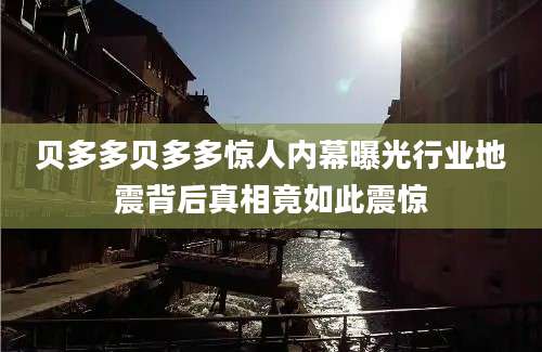 贝多多贝多多惊人内幕曝光行业地震背后真相竟如此震惊
