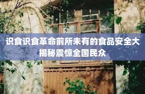 识食识食革命前所未有的食品安全大揭秘震惊全国民众