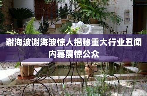 谢海波谢海波惊人揭秘重大行业丑闻内幕震惊公众