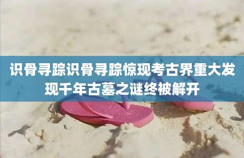 识骨寻踪识骨寻踪惊现考古界重大发现千年古墓之谜终被解开