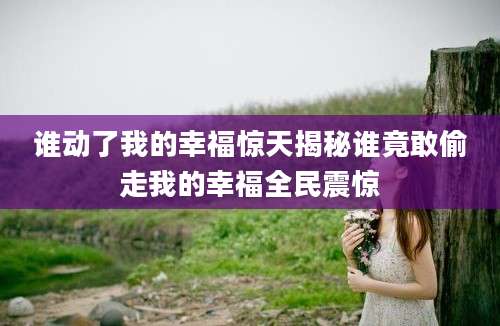 谁动了我的幸福惊天揭秘谁竟敢偷走我的幸福全民震惊