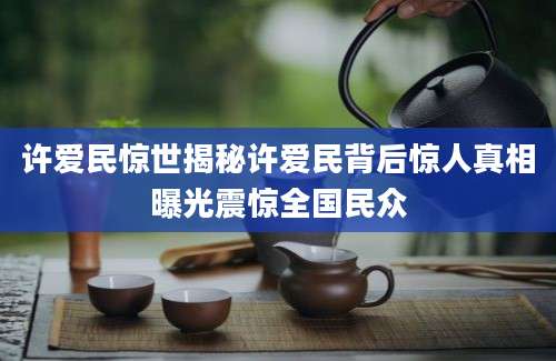 许爱民惊世揭秘许爱民背后惊人真相曝光震惊全国民众