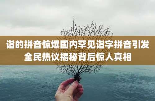 诣的拼音惊爆国内罕见诣字拼音引发全民热议揭秘背后惊人真相