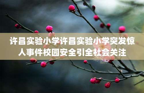 许昌实验小学许昌实验小学突发惊人事件校园安全引全社会关注