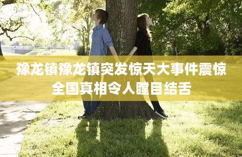 豫龙镇豫龙镇突发惊天大事件震惊全国真相令人瞠目结舌