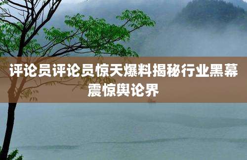 评论员评论员惊天爆料揭秘行业黑幕震惊舆论界