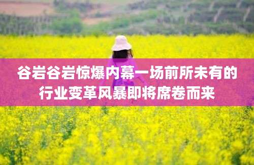 谷岩谷岩惊爆内幕一场前所未有的行业变革风暴即将席卷而来