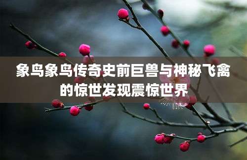 象鸟象鸟传奇史前巨兽与神秘飞禽的惊世发现震惊世界