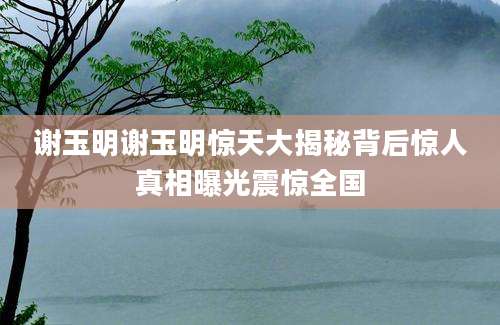 谢玉明谢玉明惊天大揭秘背后惊人真相曝光震惊全国