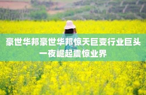 豪世华邦豪世华邦惊天巨变行业巨头一夜崛起震惊业界