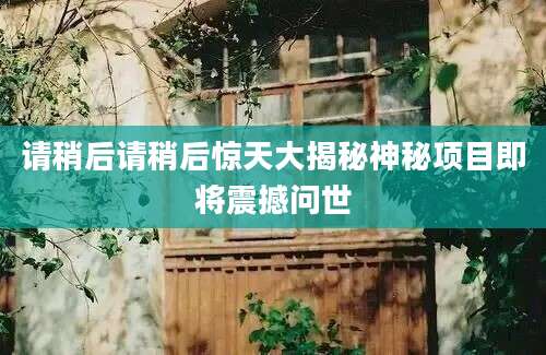 请稍后请稍后惊天大揭秘神秘项目即将震撼问世