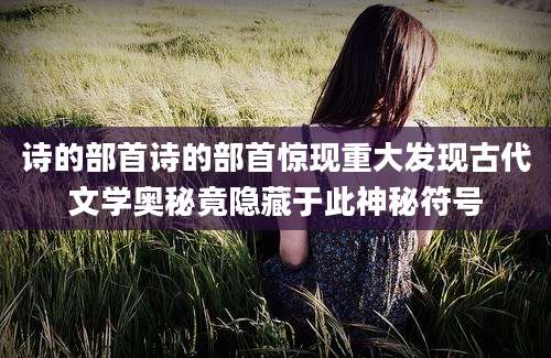 诗的部首诗的部首惊现重大发现古代文学奥秘竟隐藏于此神秘符号