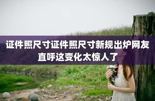 证件照尺寸证件照尺寸新规出炉网友直呼这变化太惊人了