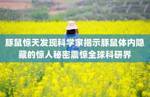 豚鼠惊天发现科学家揭示豚鼠体内隐藏的惊人秘密震惊全球科研界