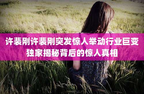 许裴刚许裴刚突发惊人举动行业巨变独家揭秘背后的惊人真相
