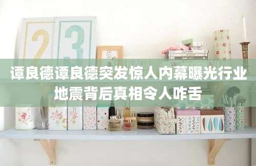 谭良德谭良德突发惊人内幕曝光行业地震背后真相令人咋舌
