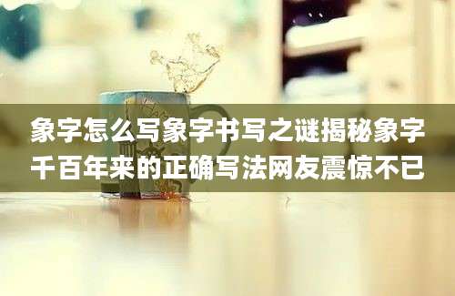 象字怎么写象字书写之谜揭秘象字千百年来的正确写法网友震惊不已