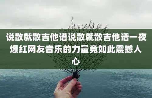 说散就散吉他谱说散就散吉他谱一夜爆红网友音乐的力量竟如此震撼人心