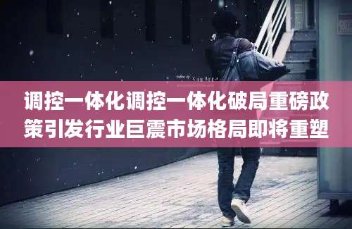 调控一体化调控一体化破局重磅政策引发行业巨震市场格局即将重塑