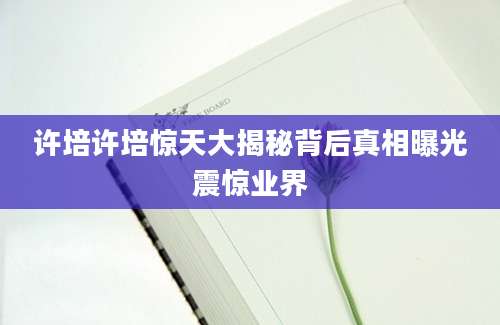 许培许培惊天大揭秘背后真相曝光震惊业界