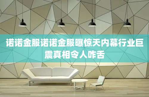 诺诺金服诺诺金服曝惊天内幕行业巨震真相令人咋舌