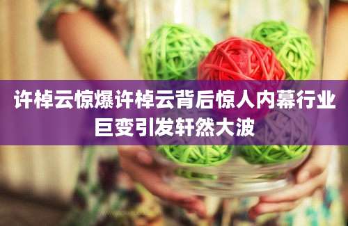 许棹云惊爆许棹云背后惊人内幕行业巨变引发轩然大波