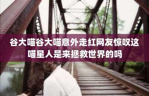 谷大喵谷大喵意外走红网友惊叹这喵星人是来拯救世界的吗