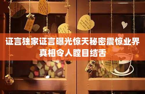 证言独家证言曝光惊天秘密震惊业界真相令人瞠目结舌
