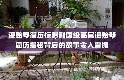 谌贻琴简历惊曝副国级高官谌贻琴简历揭秘背后的故事令人震撼