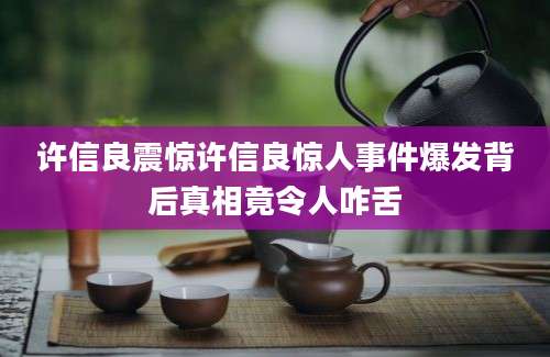 许信良震惊许信良惊人事件爆发背后真相竟令人咋舌