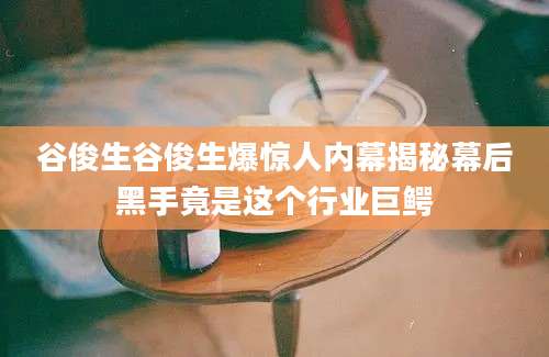 谷俊生谷俊生爆惊人内幕揭秘幕后黑手竟是这个行业巨鳄