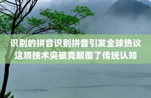 识别的拼音识别拼音引发全球热议这项技术突破竟颠覆了传统认知