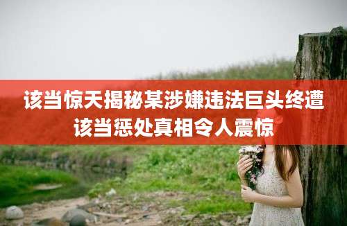该当惊天揭秘某涉嫌违法巨头终遭该当惩处真相令人震惊