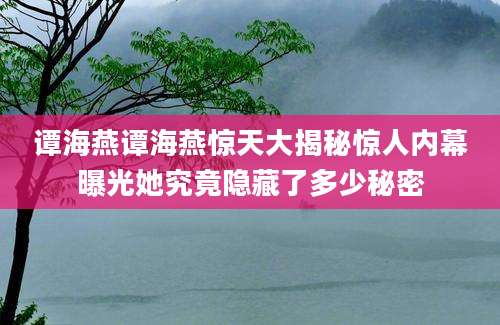 谭海燕谭海燕惊天大揭秘惊人内幕曝光她究竟隐藏了多少秘密