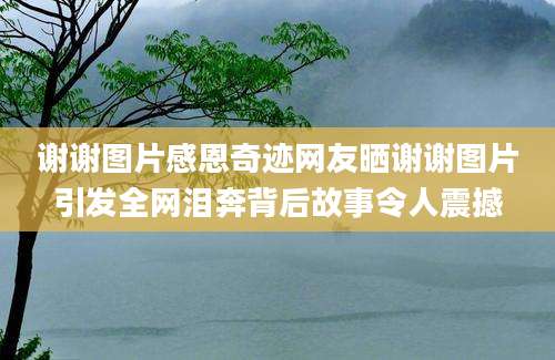 谢谢图片感恩奇迹网友晒谢谢图片引发全网泪奔背后故事令人震撼