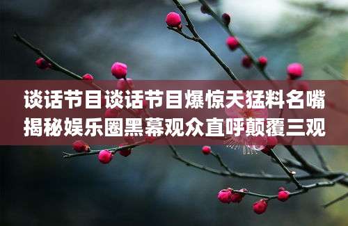 谈话节目谈话节目爆惊天猛料名嘴揭秘娱乐圈黑幕观众直呼颠覆三观