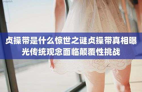 贞操带是什么惊世之谜贞操带真相曝光传统观念面临颠覆性挑战