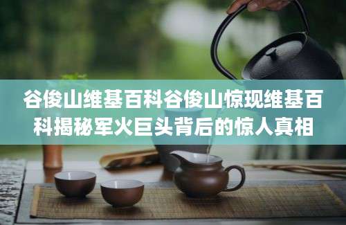 谷俊山维基百科谷俊山惊现维基百科揭秘军火巨头背后的惊人真相